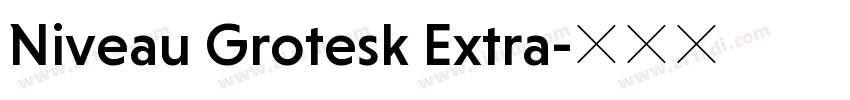 Niveau Grotesk Extra字体转换 Niveau Grotesk Extra字体转换
